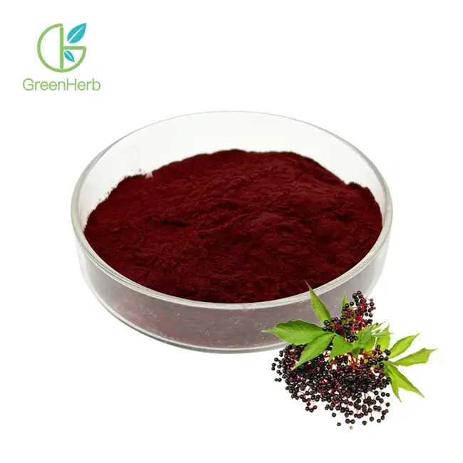 Black Elderberry Extract Powder